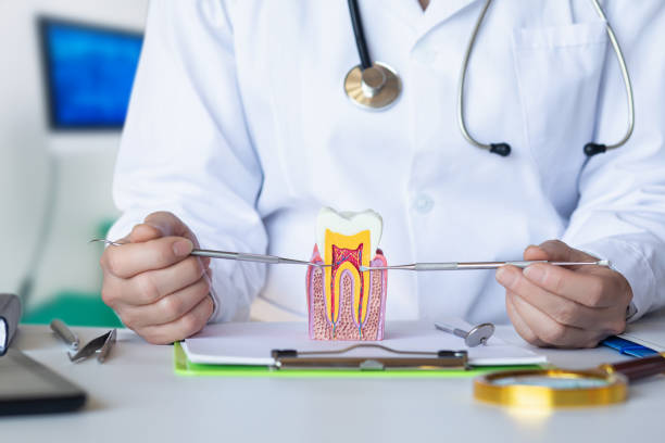 Best Emergency Dental Care for Sports Injuries in Lake Tapps, WA